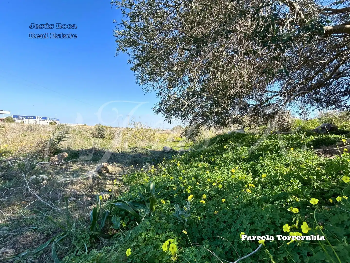 Terreno rustico in vendita a Pedanías Oeste, imagen 7