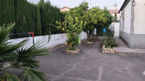 Photo 3 of Houses for sale in Alcolea, Córdoba Capital