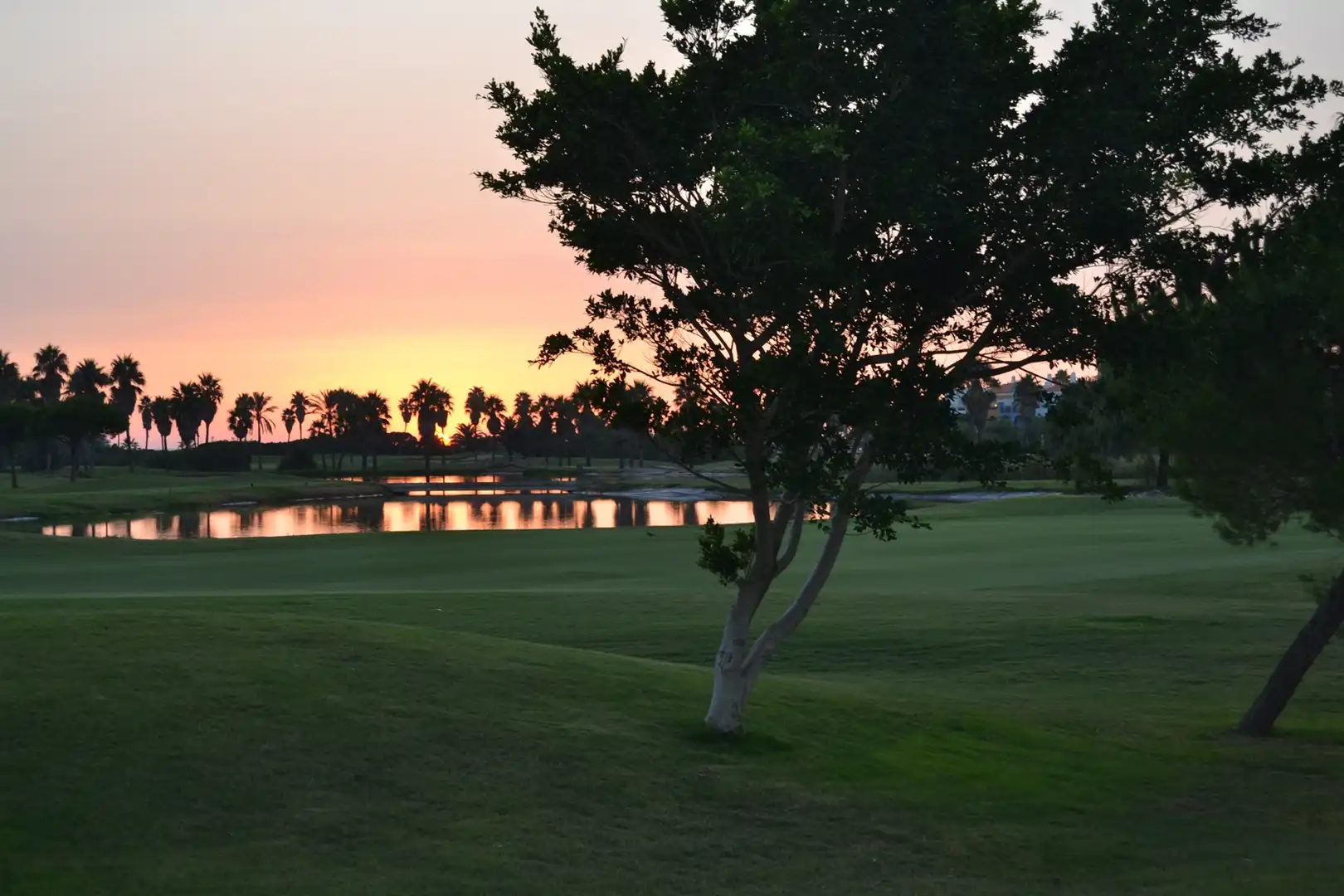Exterior view of Apartments for rent in Rota  with Private garden, Furnished and Oven