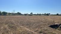 Land for sale in Los Palacios y Villafranca