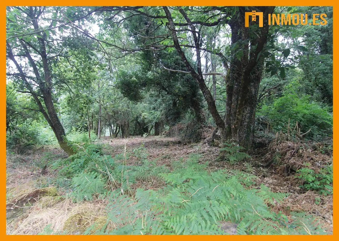 Finca rústica en venta en A Bola 