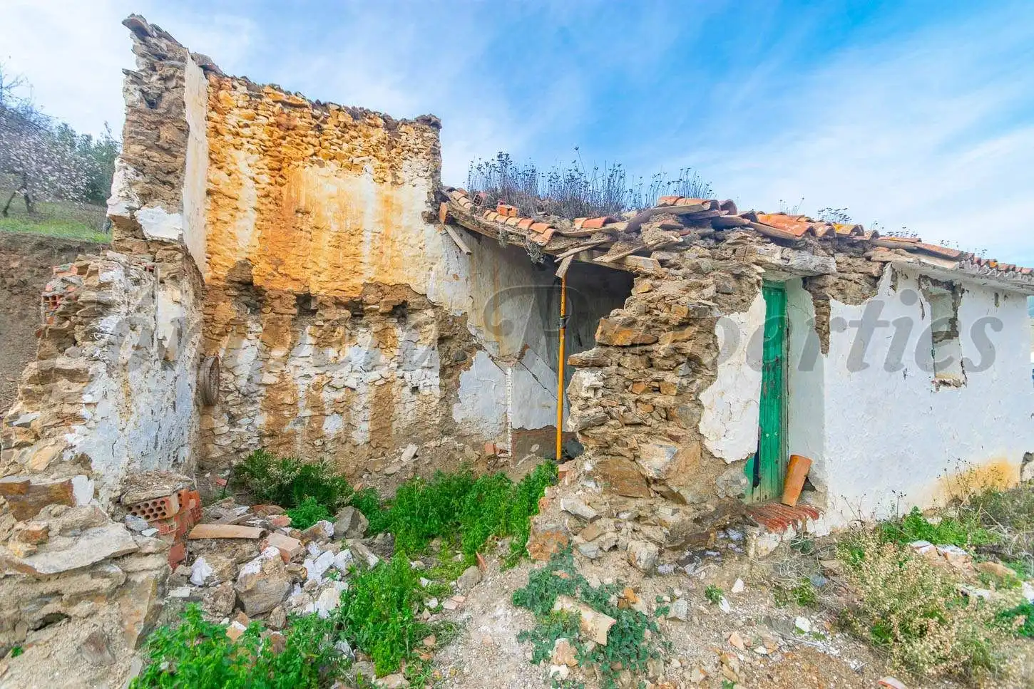 Terreno rustico in vendita a Árchez, imagen 10
