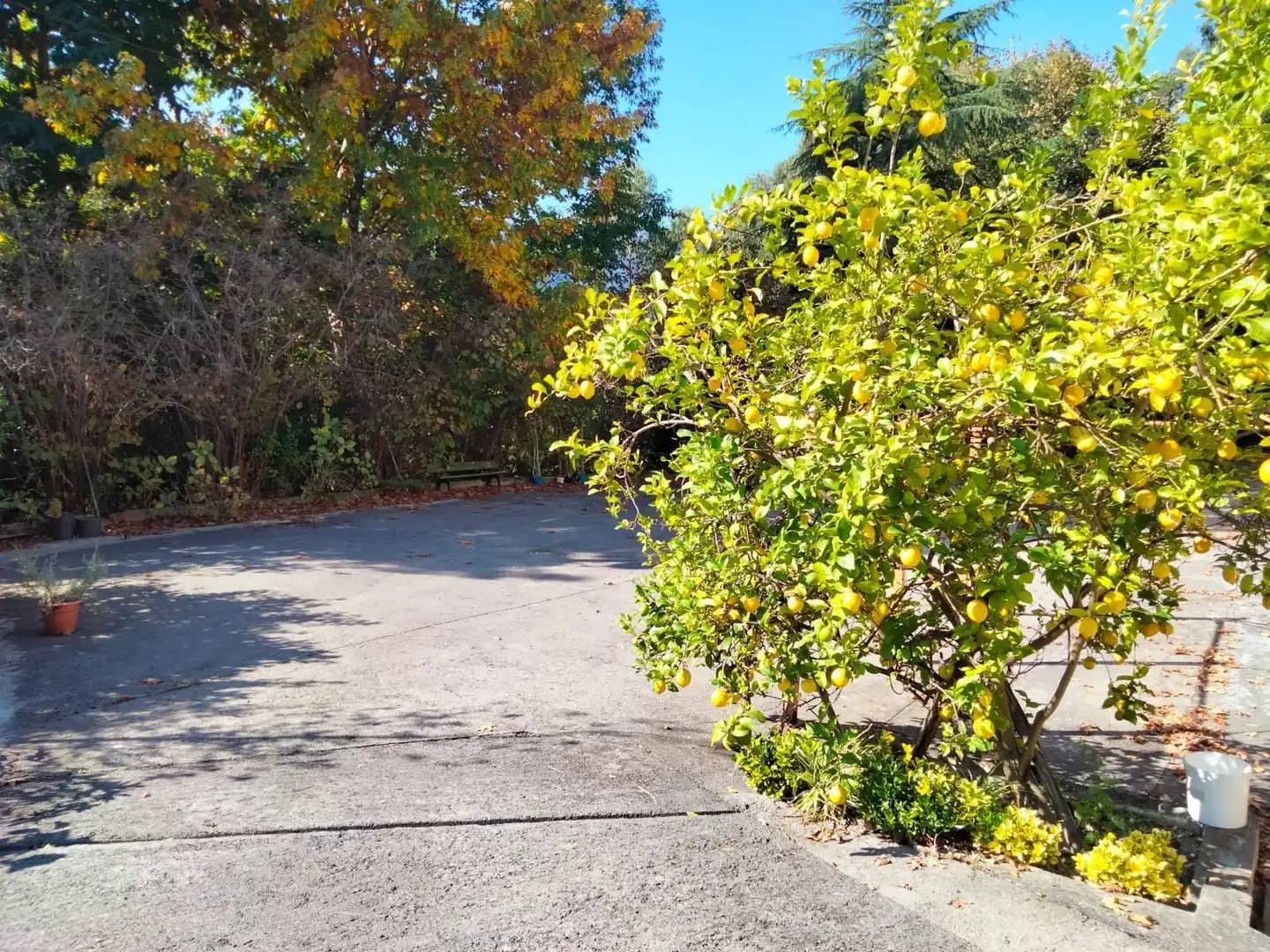 Vista exterior de Casa o chalet en venta en Arrankudiaga / Zollo con Calefacción, Jardín privado y Trastero