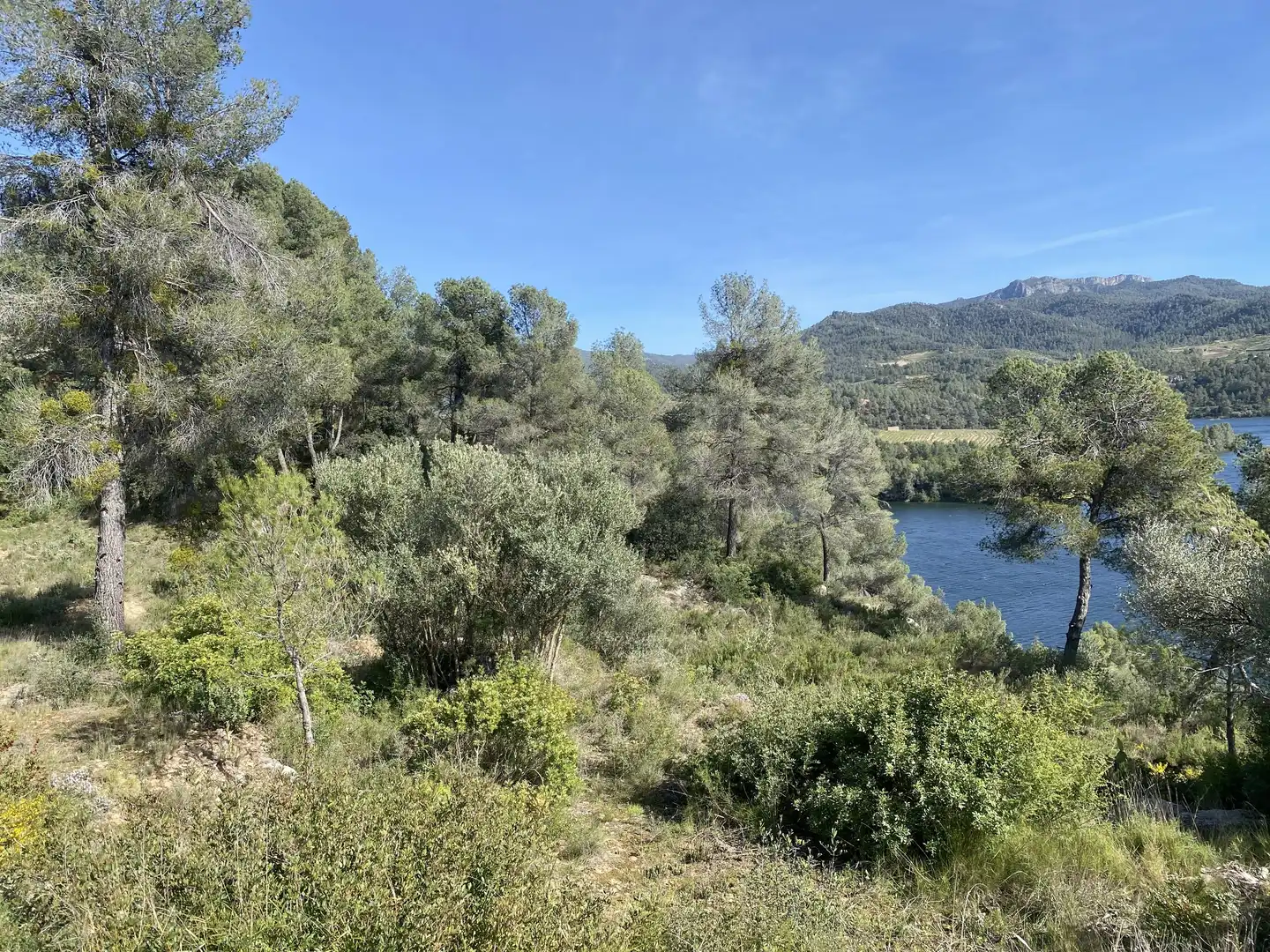 Residential land for sale in Els Guiamets, imagen 21