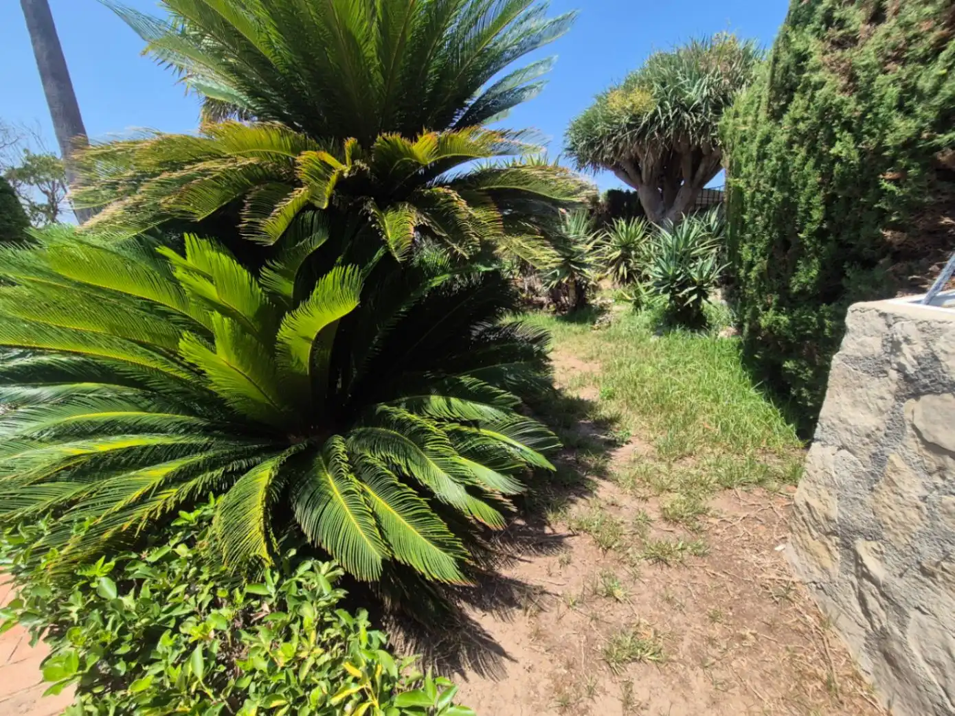 Chalet con piscina en venta en Oliva Playa, imagen 12