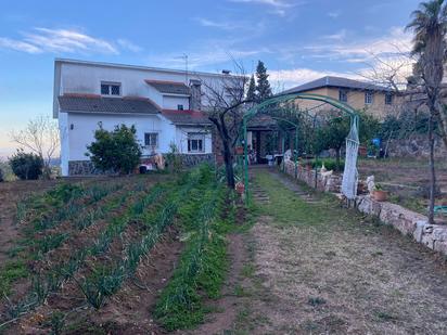 Jardí de Casa o xalet en venda en Pallejà amb Terrassa