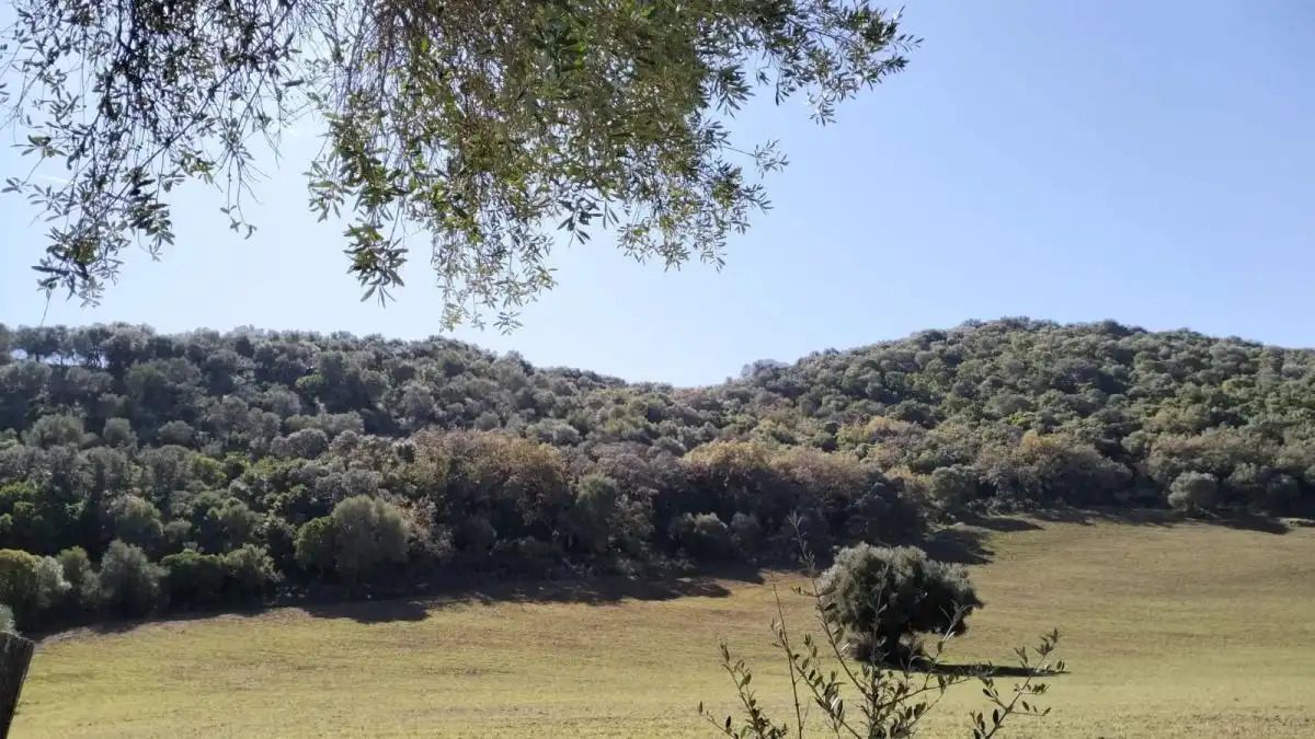 Casa rústica en venda a El Bosque, imagen 27