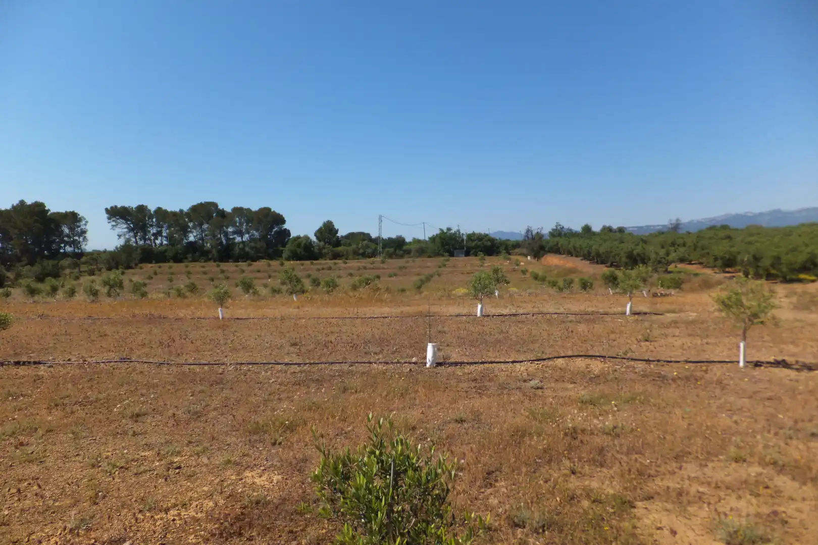 Terreno rústico en venta en Botarell, imagen 40
