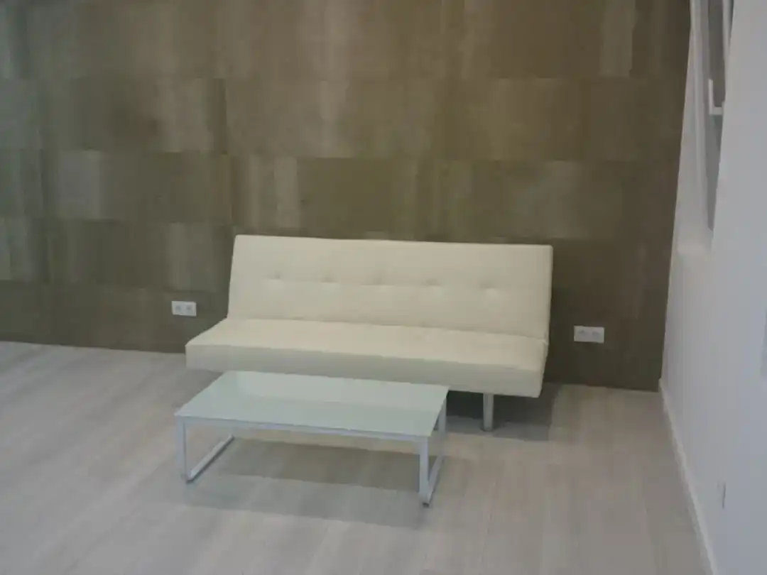 Sala d'estar de Loft de lloguer en A Coruña Capital  amb Parquet i Moblat