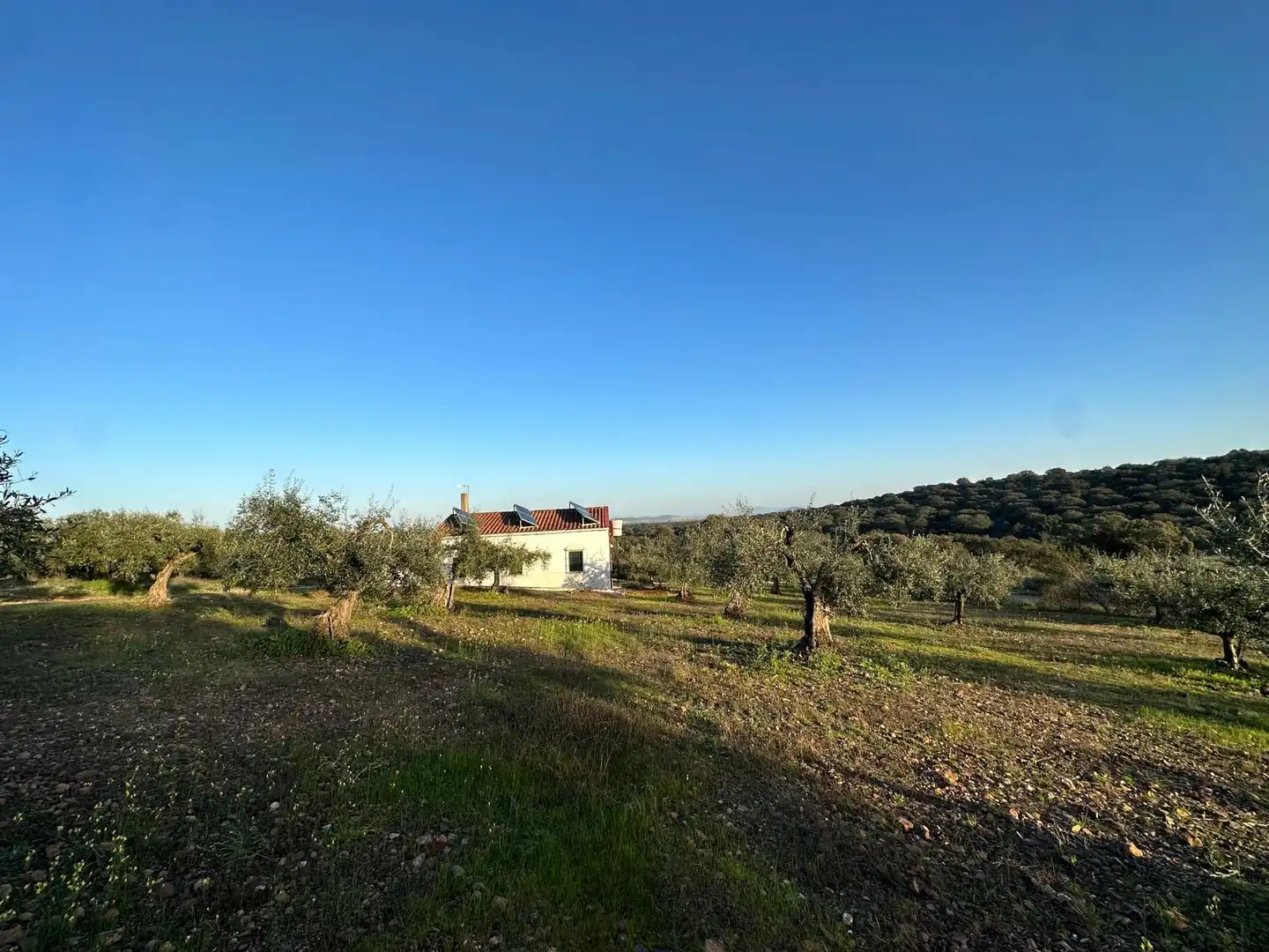 Casa o chalet en venta en Santa Amalia