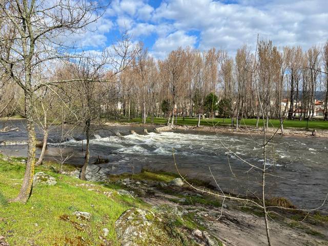 Terreno residencial en Venta en DE LAS UMBRIAS, 195 en Navaluenga