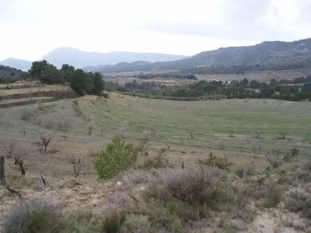 Rural land for sale in torremanzanas, imagen 5