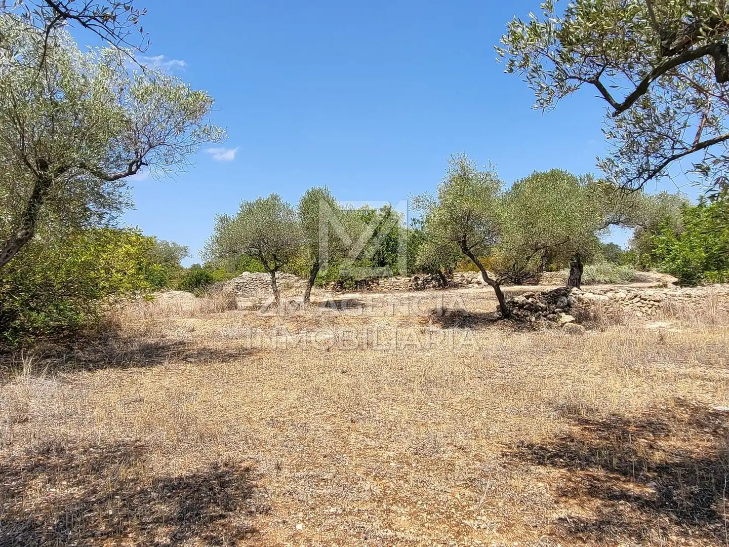 Terreno rustico in vendita a Traiguera, imagen 6