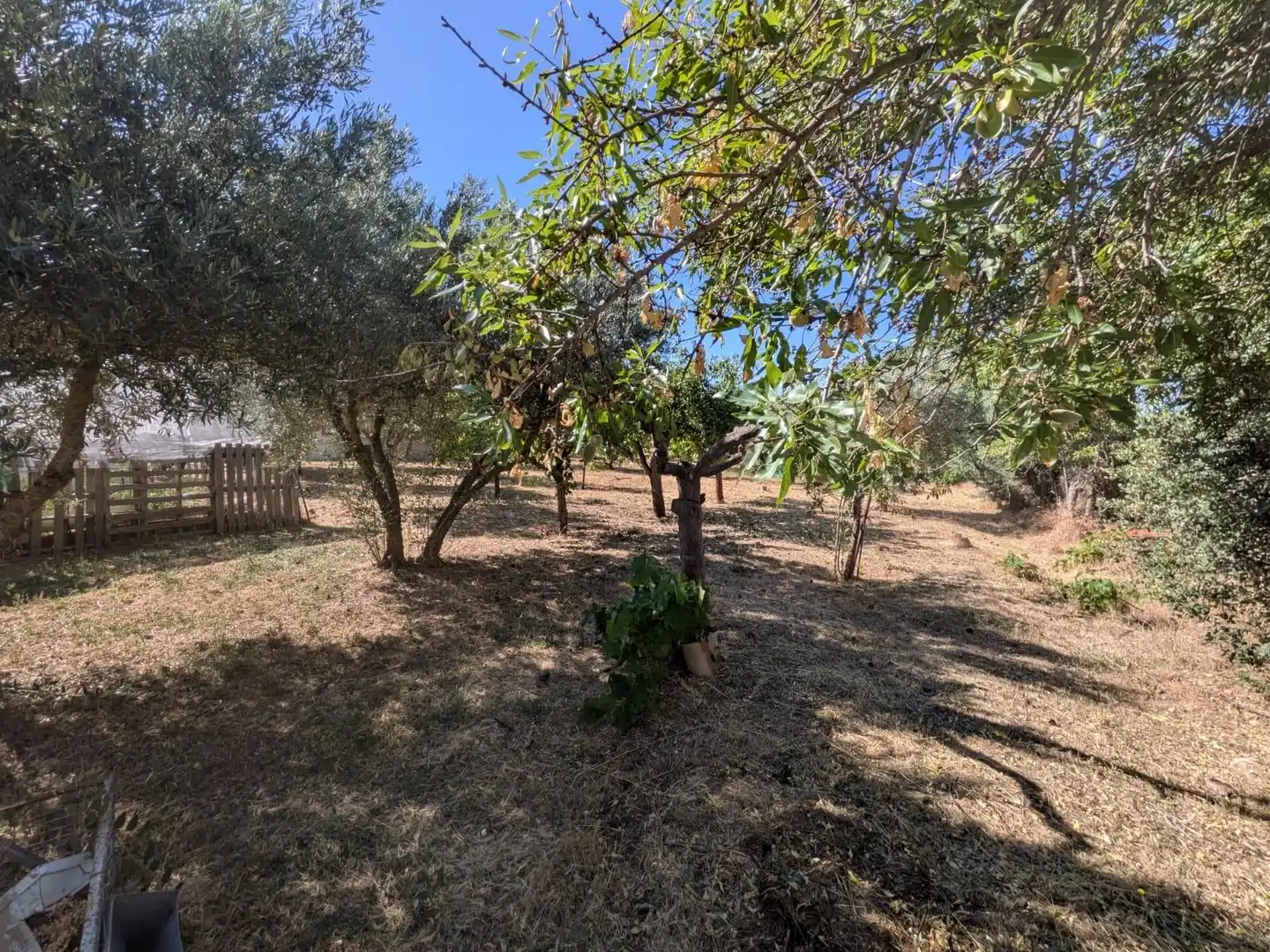 Chalet con piscina en venta en Pioz, imagen 37
