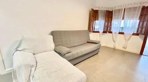 Photo 4 of Study for rent in Pueblo Latino, Pilar de la Horadada