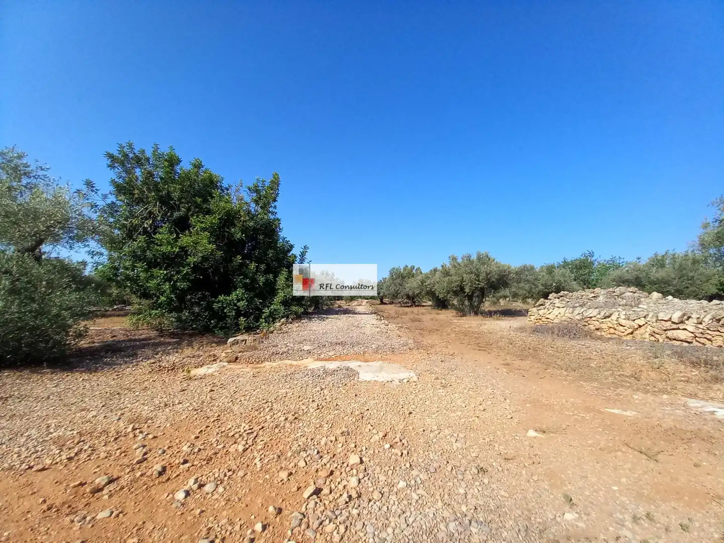 Terreno rústico en venta en L'Ampolla, imagen 12