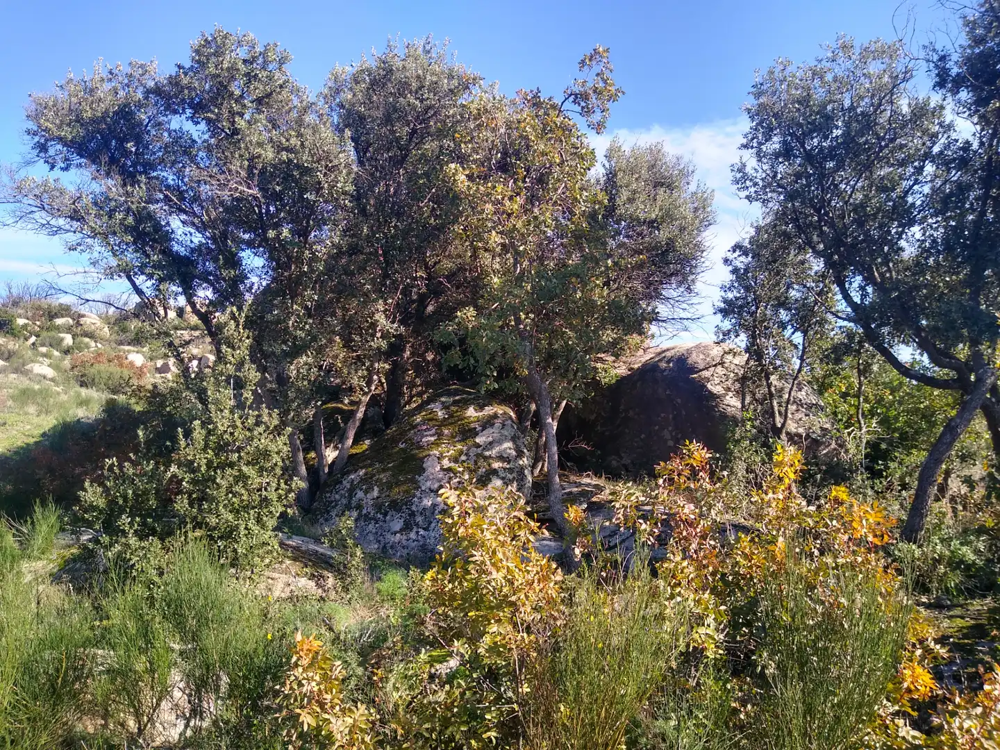 Rural land for sale in Cadalso de los Vidrios, imagen 12