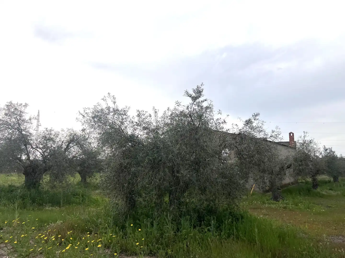 Rustikales Grundstück zum Verkauf in Don Benito, imagen 8