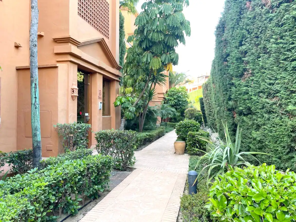Vista exterior de Apartament de lloguer en Estepona amb Aire condicionat, Terrassa i Moblat
