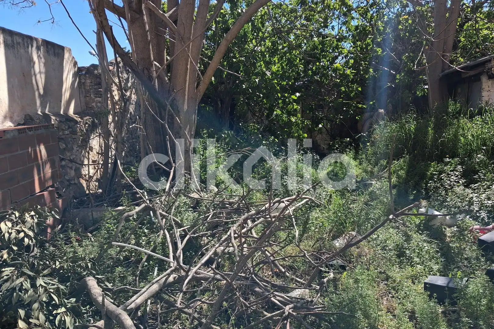 House for sale in Alberic, imagen 12