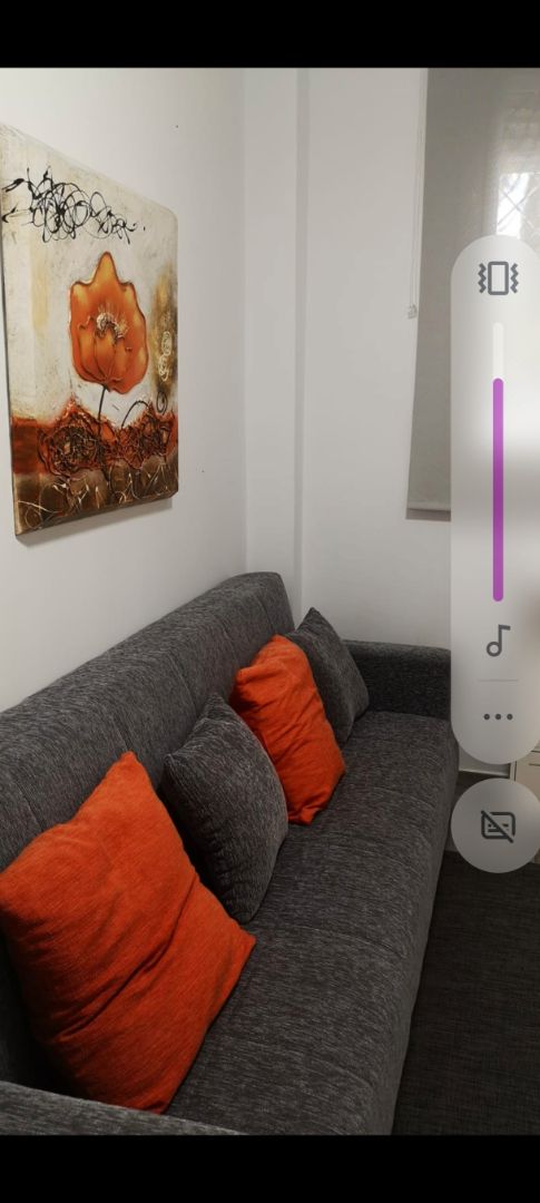 Sala d'estar de Estudi de lloguer en  Sevilla Capital amb Moblat