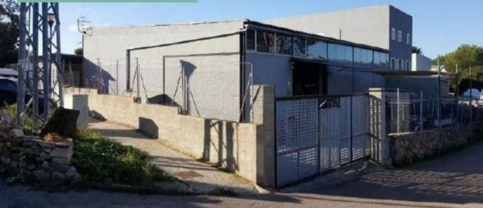 Exterior view of Industrial buildings for sale in Alcúdia