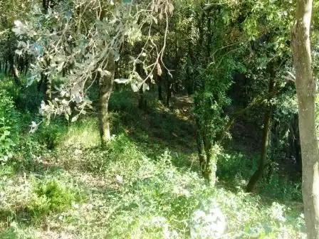 Terrenys i solars en venda a Gualba, imagen 2