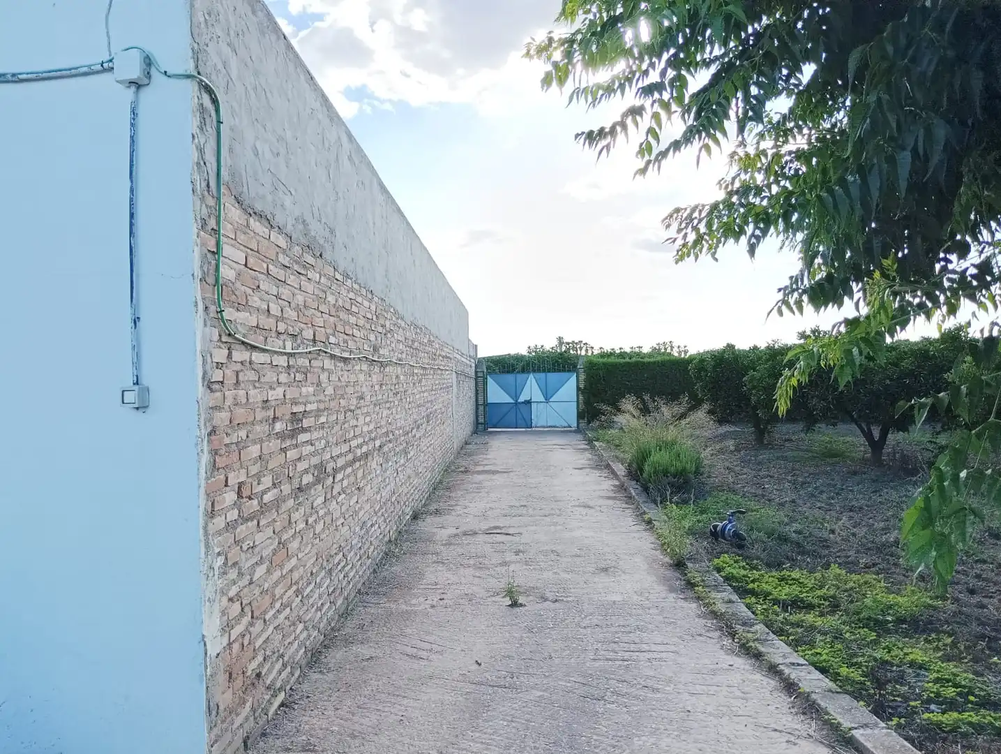 Terreno en venta en La Algaba