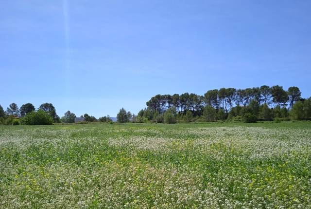 Terreno residencial en Venta en Agullent
