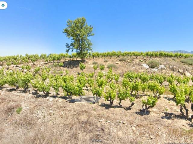 Terreno en Venta en Avenida de la Rioja, 18 en San Asensio