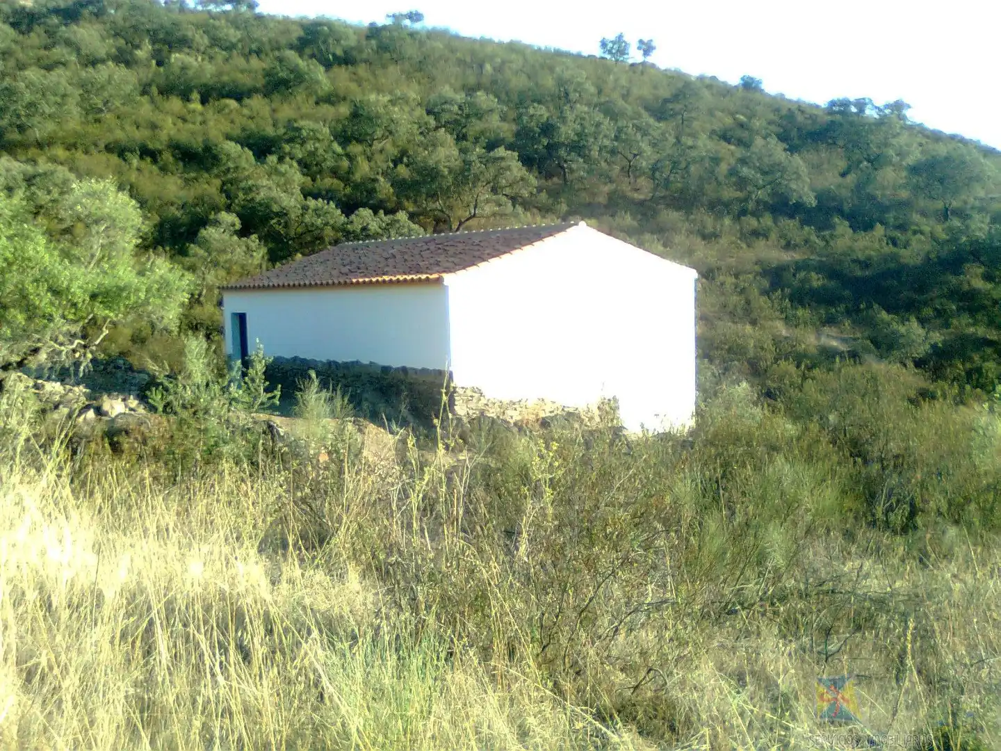 Finca rústica en venta en Encinasola