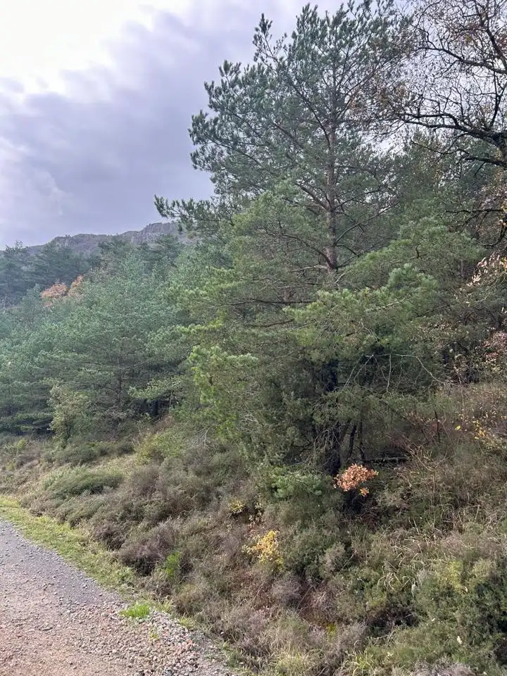 Land for sale in Kuartango