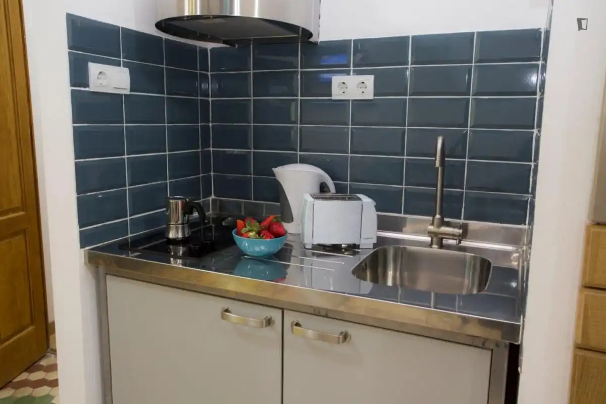 Estudio en alquiler en Ciutat Vella, imagen 10