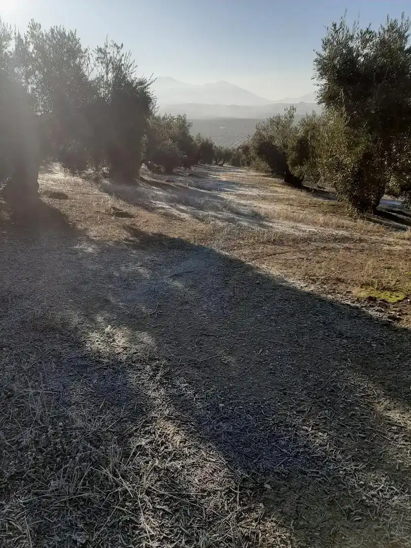 Finca rústica en venda en La Iruela