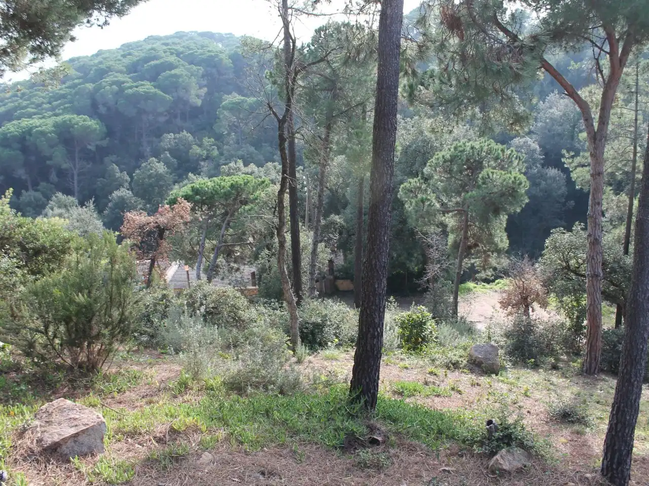 House with garden for sale in PASAJE CLAVELLS 7, imagen 8