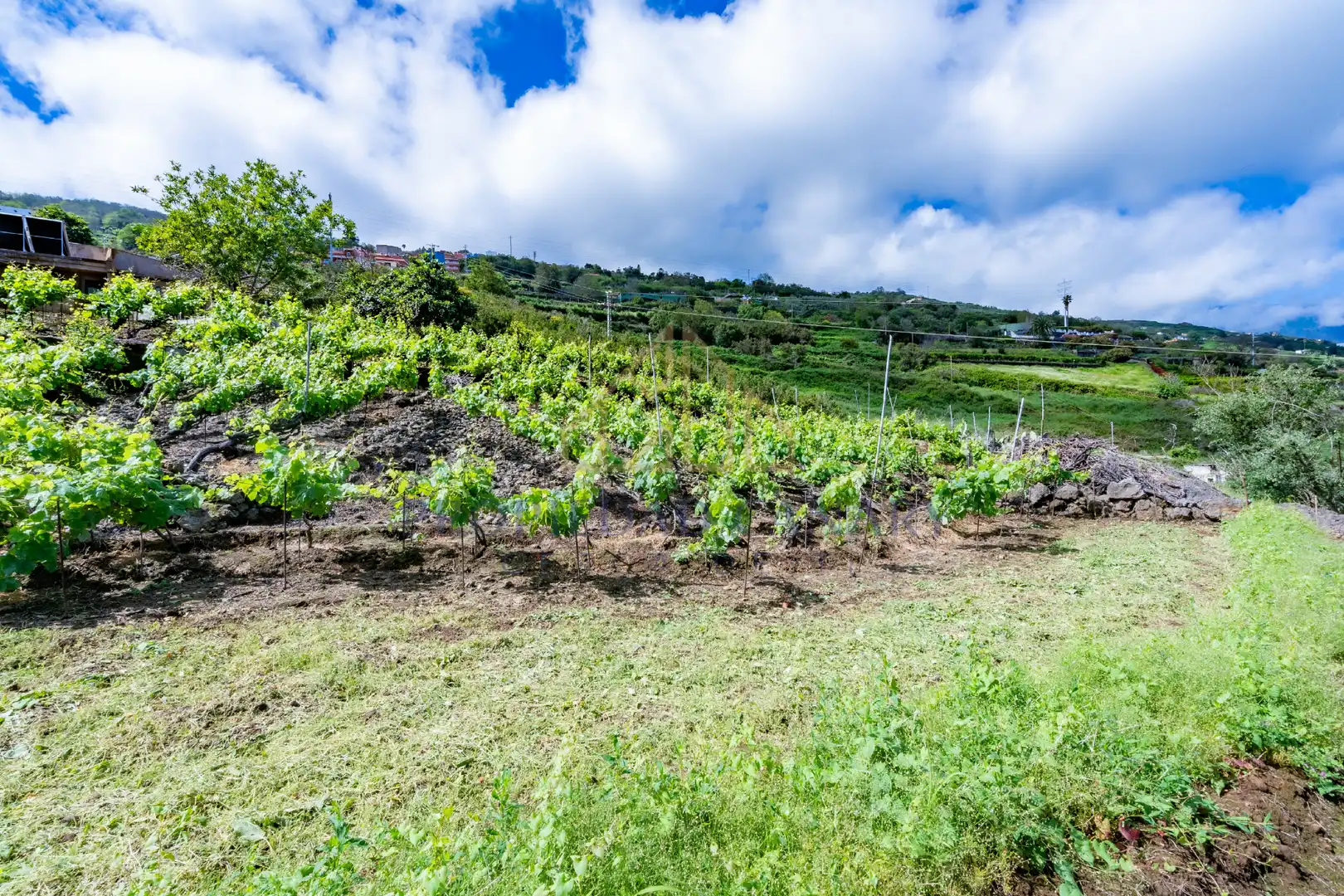 Casa rústica con jardín en venta en La Perdoma - San Antonio - Benijos, imagen 44