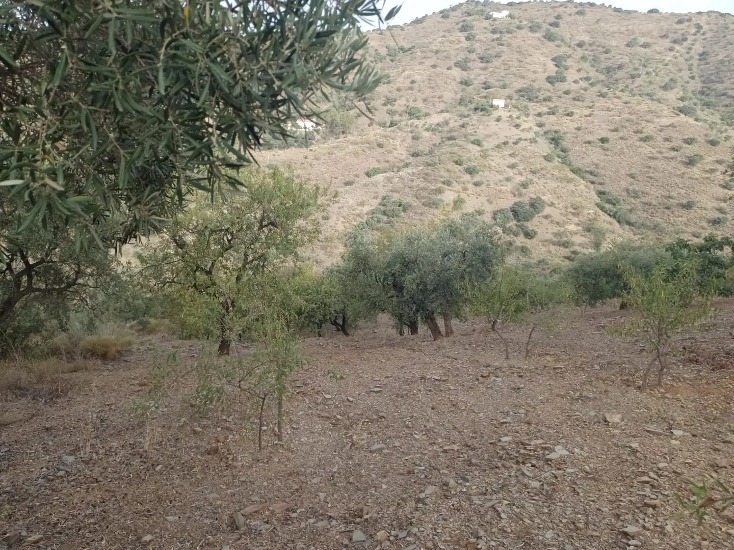 Terreni e lotti in vendita a Centro, imagen 18
