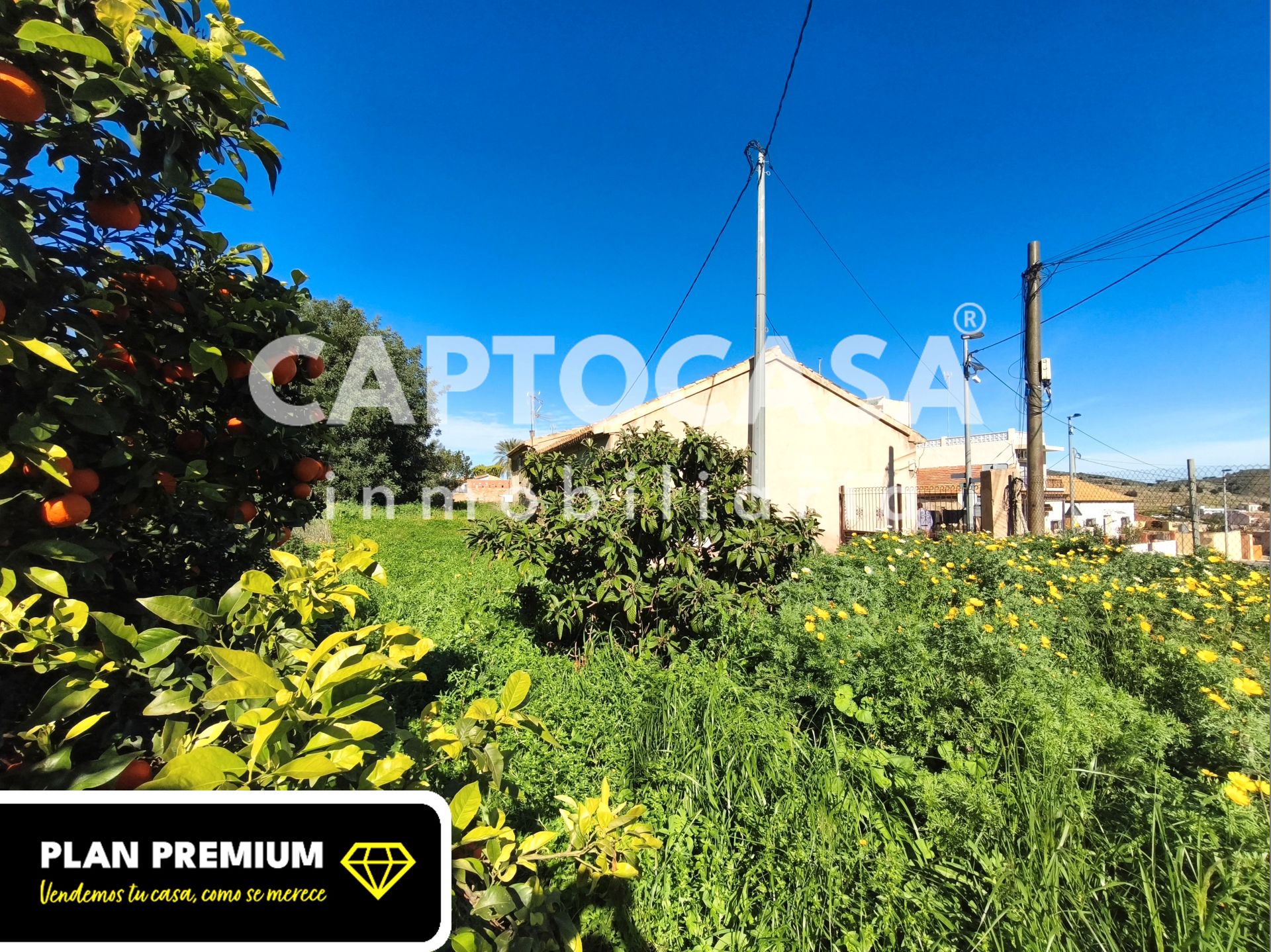 Finca rústica en venta en Cartagena con Jardín privado