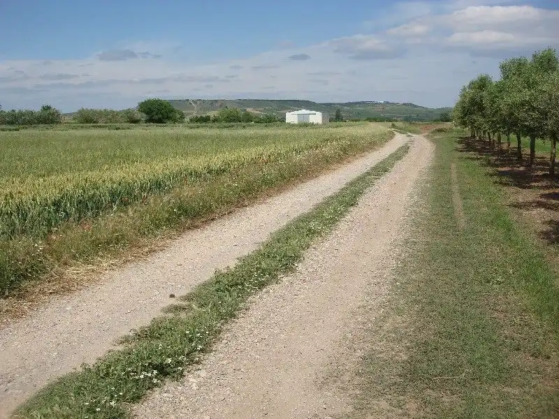 Terreny rústic en venda a Villamediana de Iregua, imagen 4