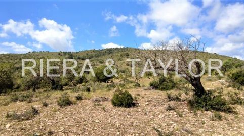 Foto 3 de Terreno en venta en Son Servera Poble, Son Servera