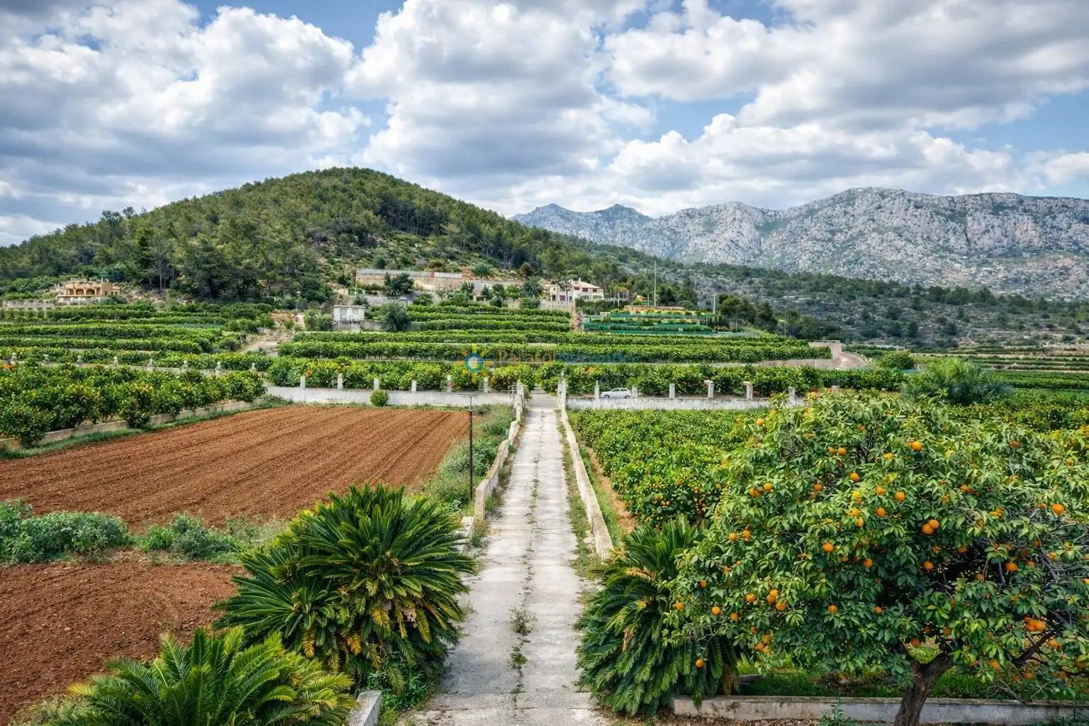 Jardí de Casa o xalet en venda en Benifairó de la Valldigna amb Calefacció, Jardí privat i Terrassa