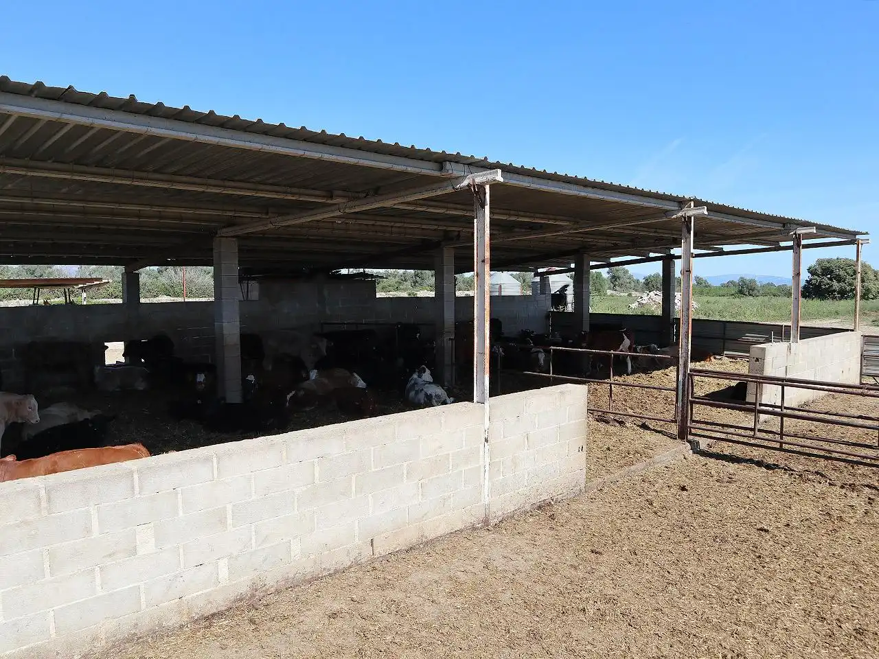 Industriegebäude zum Verkauf in Ulldecona, imagen 39