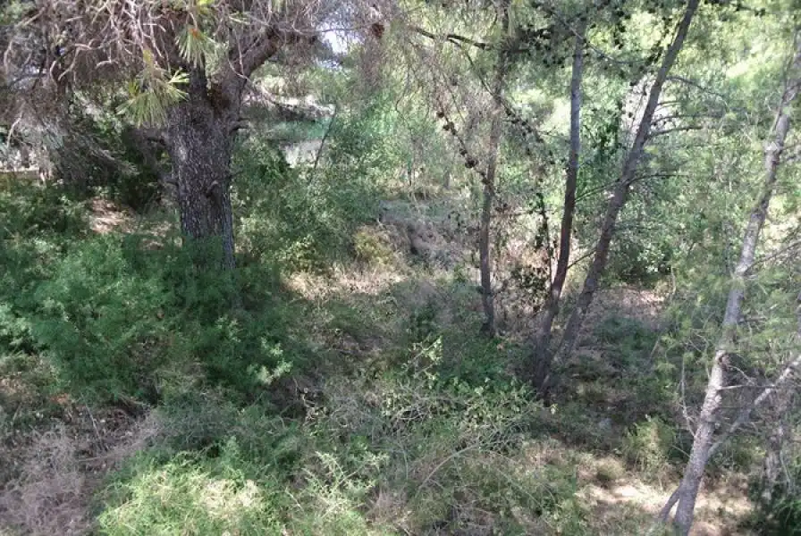 Terreni e lotti in vendita a Las Rotas / Les Rotes, imagen 23