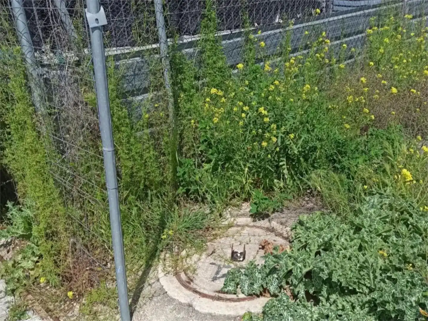 Garten von Fabrik Grundstücke zur Miete in Parla