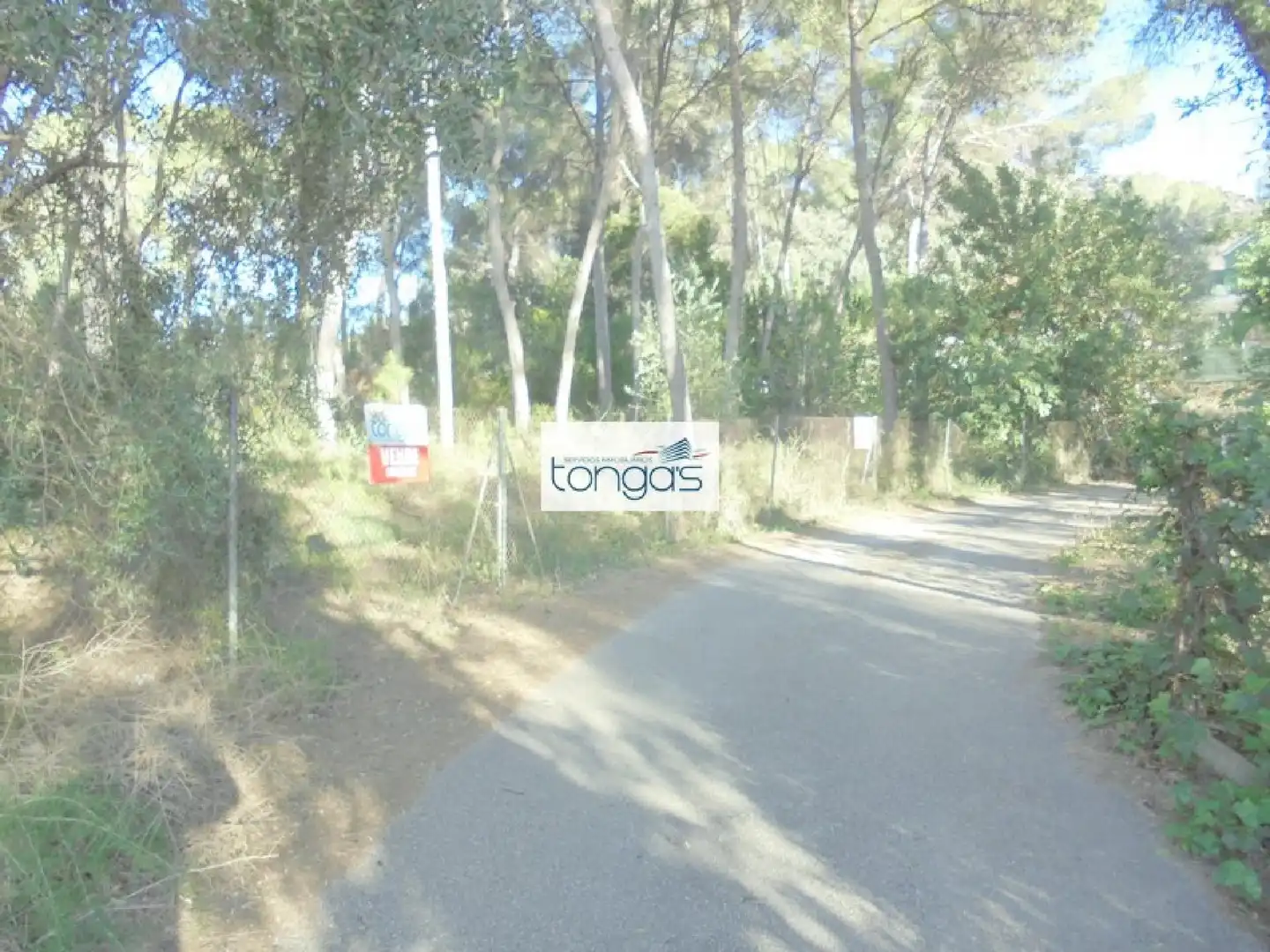 Terreno residencial en venta en El Genovés, imagen 6