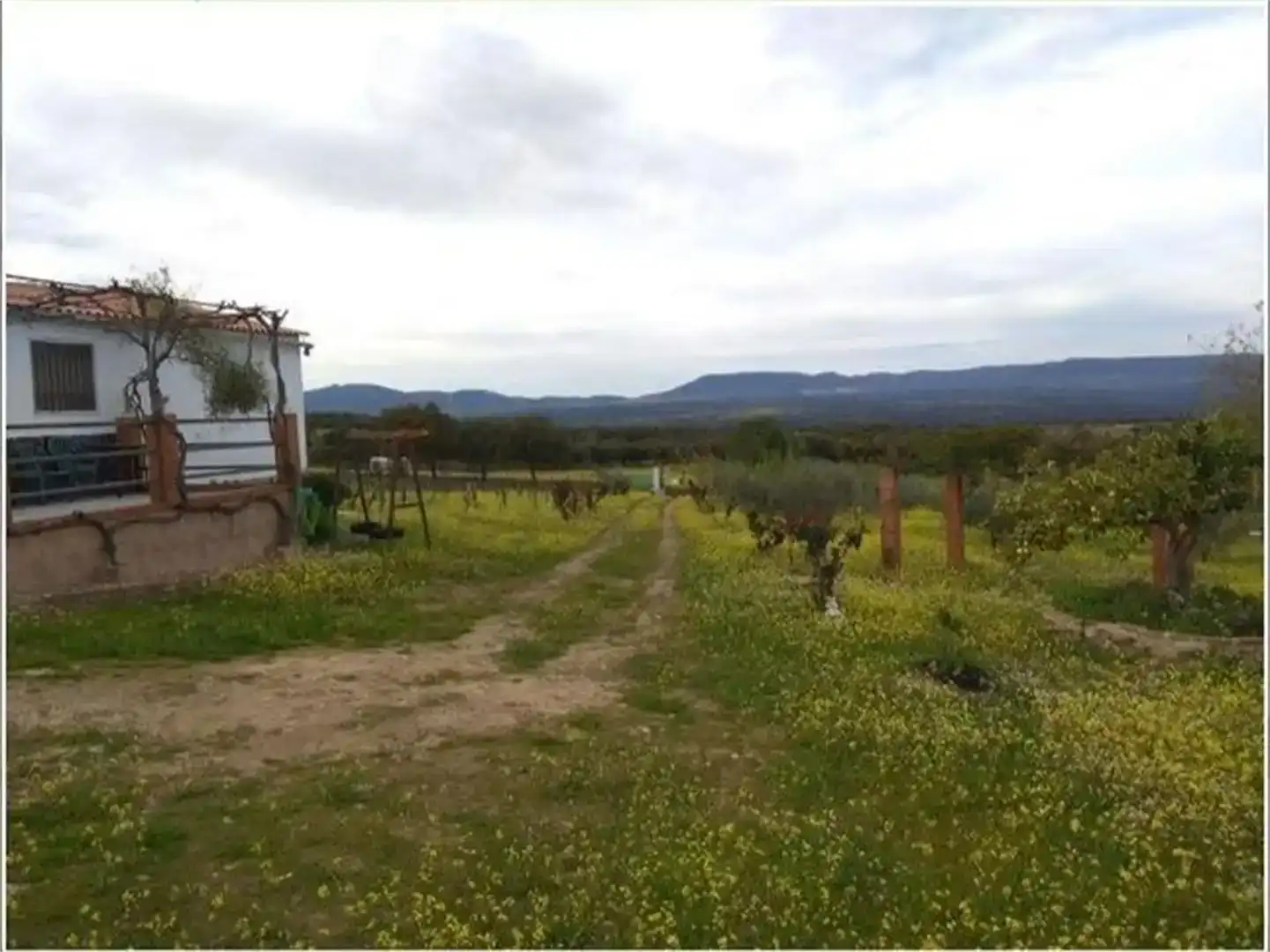 Terreno en venta en Talaván
