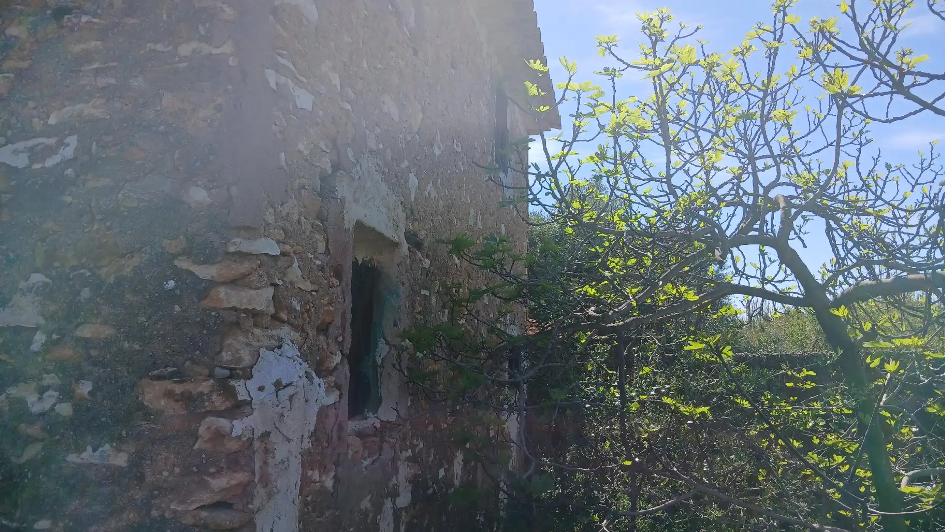 Vista exterior de Finca rústica en venta en Onda