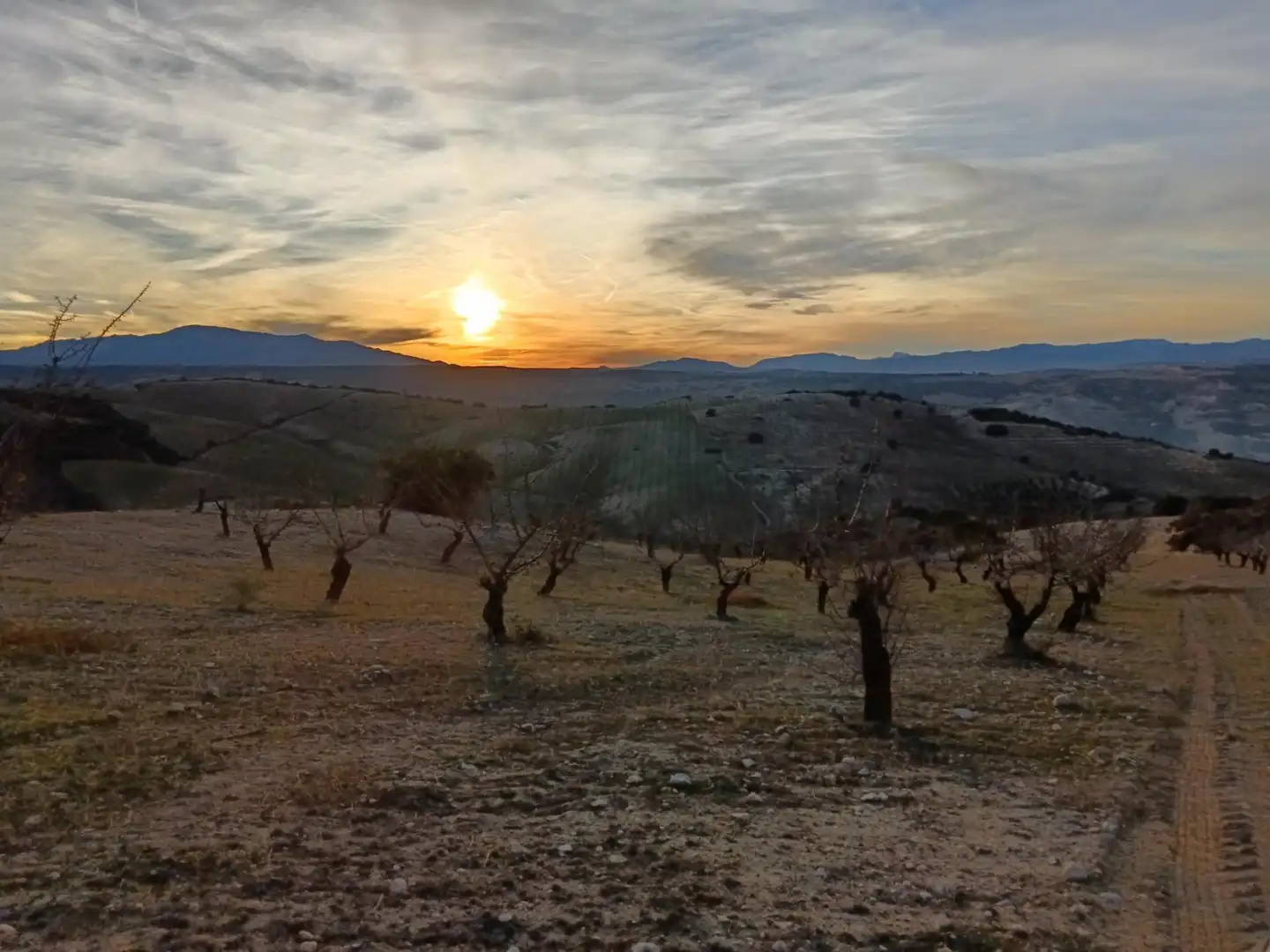 Terreni e lotti in vendita a Polígono 14 Parcela 91 CJO PAVA. ALHAMA DE GRANAD