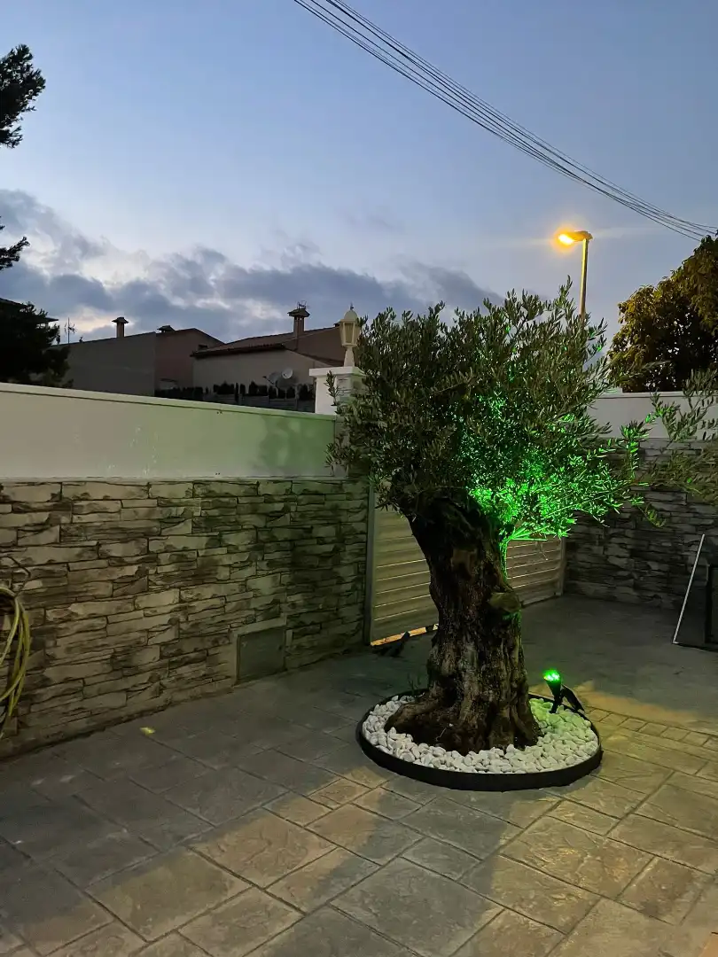 Casa a schiera con terrazza in vendita a Carrer Illes Canaries, imagen 15