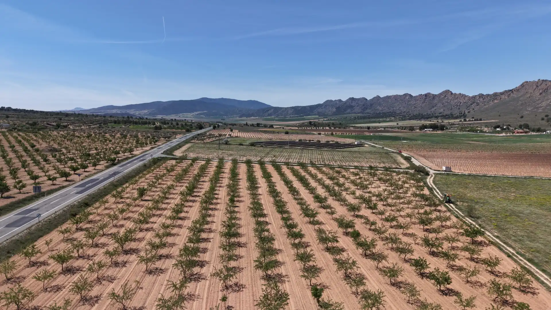 Residential land for sale in Yecla, imagen 8